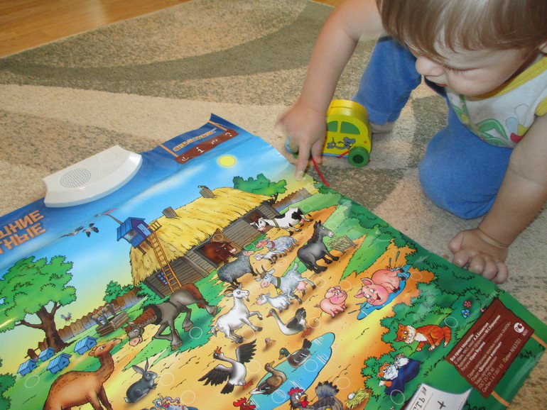 ФМ Моя семья. День пятый.