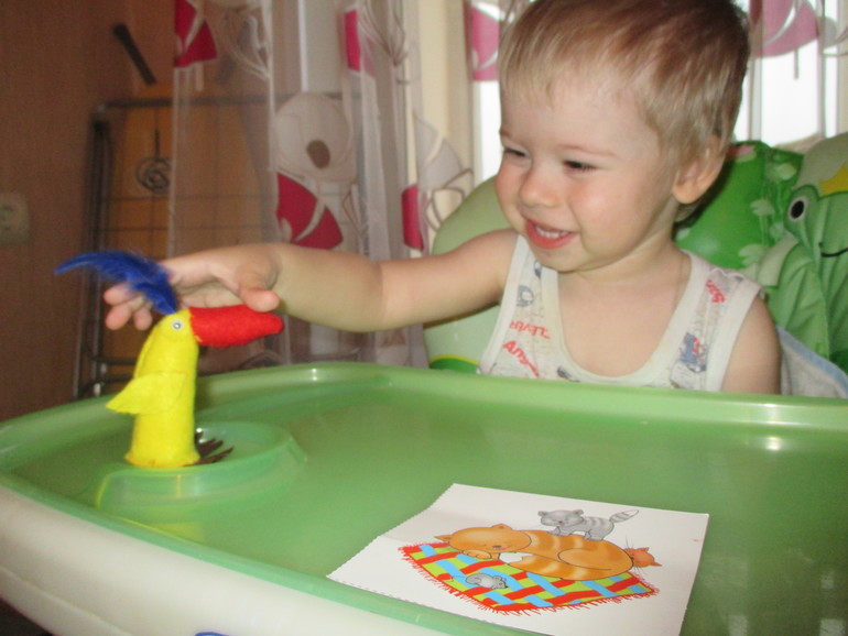 ФМ Животные в квартире. День второй - Попугай.