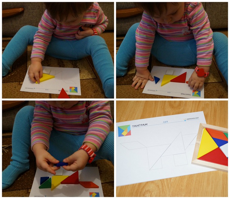 ТН Африка. День 1. Знакомство с континентом.