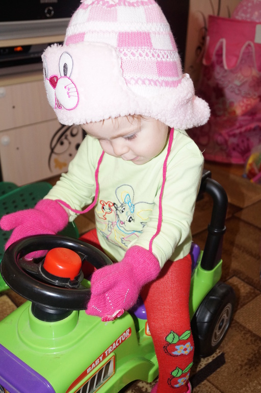 ТН Арктика и Антарктида. ФМ. День 4. Птицы.