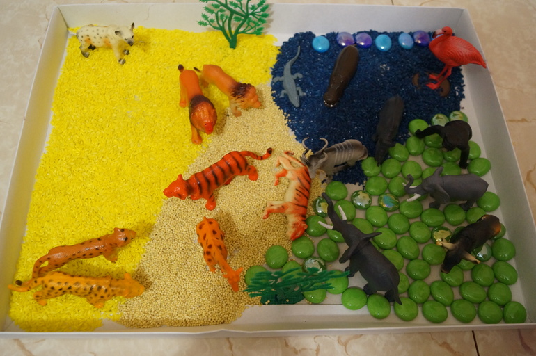 ТН Африка. День 1. Знакомство с континентом.