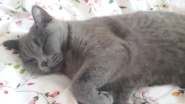 нашлась пропажа