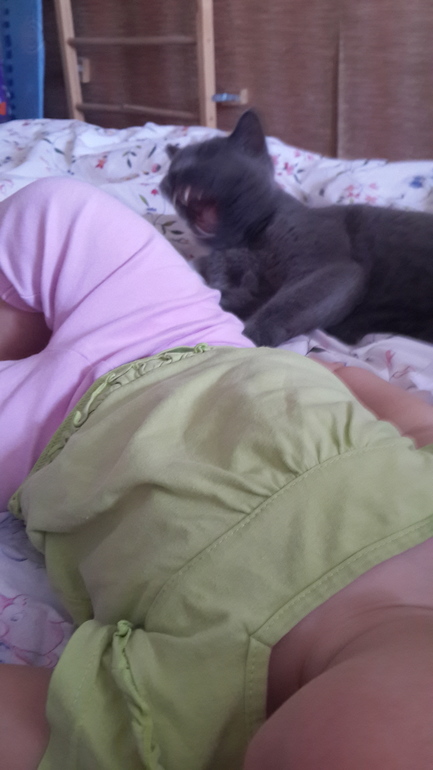 улыбнитесь) мои ребята и зверята