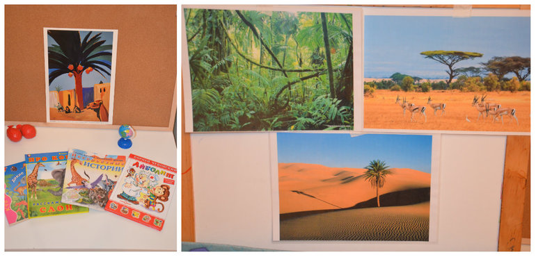 ТН Африка д.1