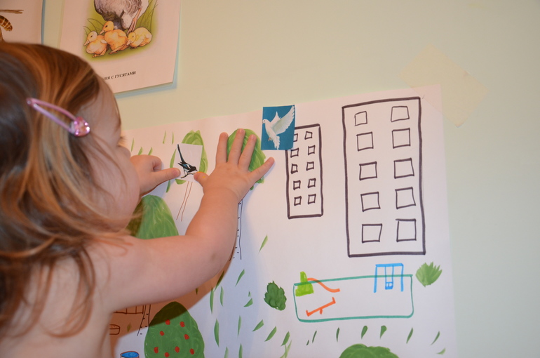 ТН Птицы. Городские.