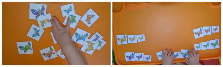 ТН Насекомые. Бабочка.