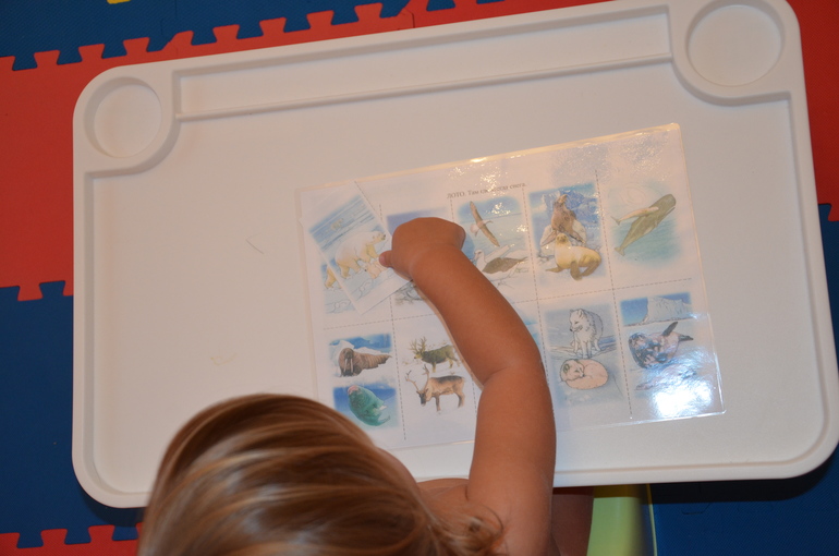 ТН Арктика и Антарктида. День 4.