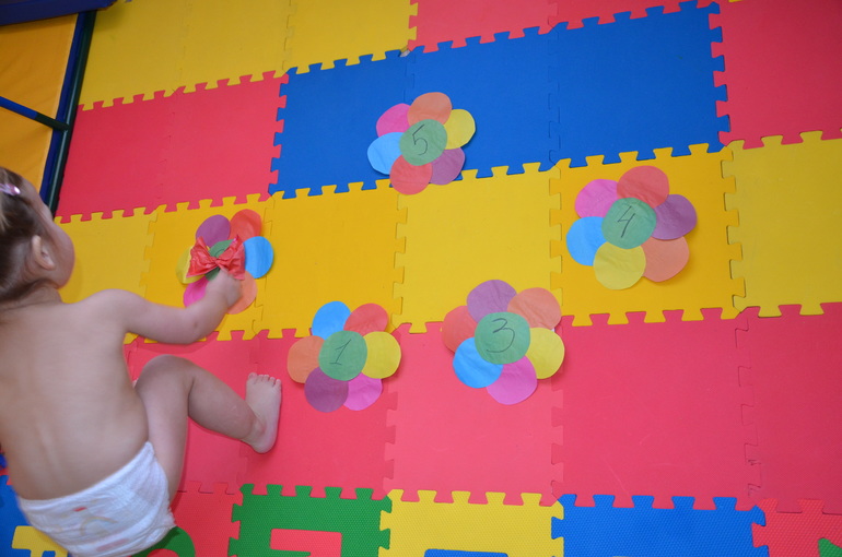 ТН Насекомые. Бабочка.