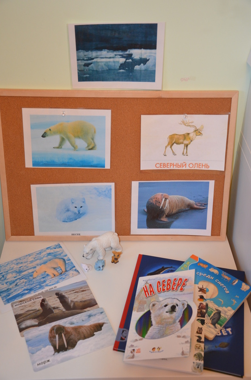 ТН Арктика и Антарктида. День 3.