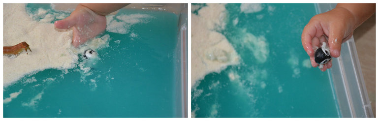 ТН Арктика и Антарктида. День 4.