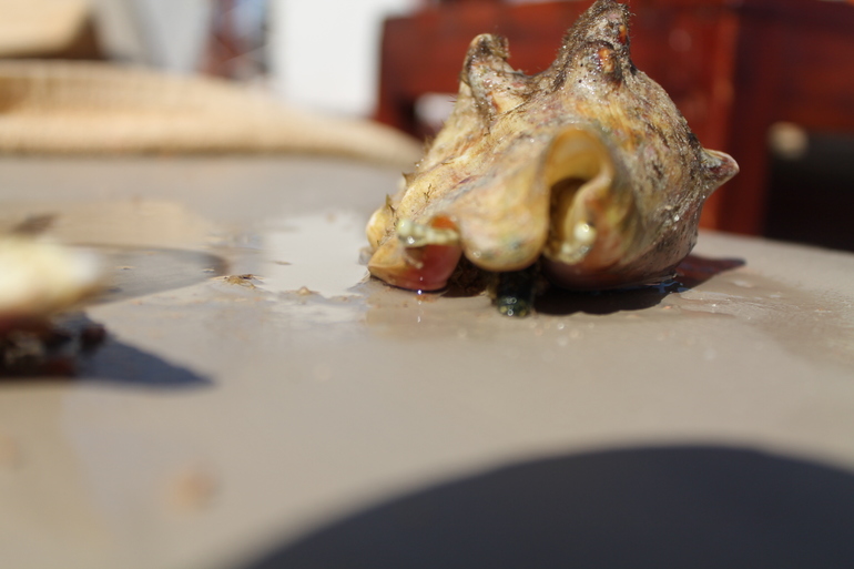 Про наш отдых