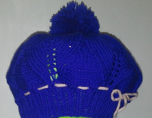 Васильковая береточка