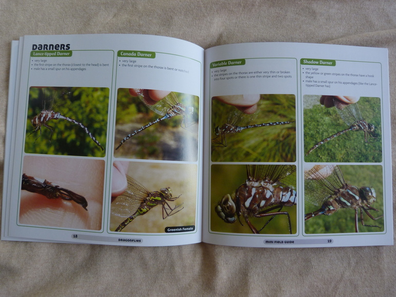 Пополнение библиотеки сентябрь 2