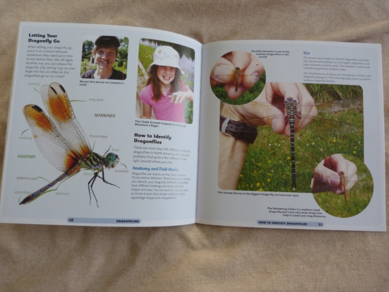 Пополнение библиотеки сентябрь 2