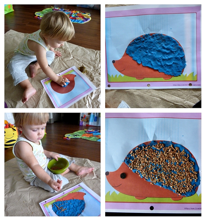 ТН Дикие животные. Ёж