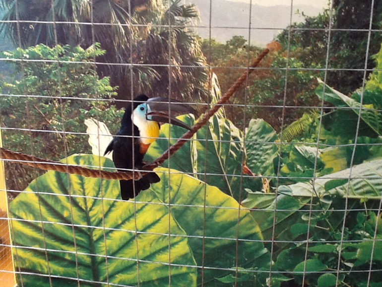 ВВЦ Дом  Бабочек 02.05.2014
