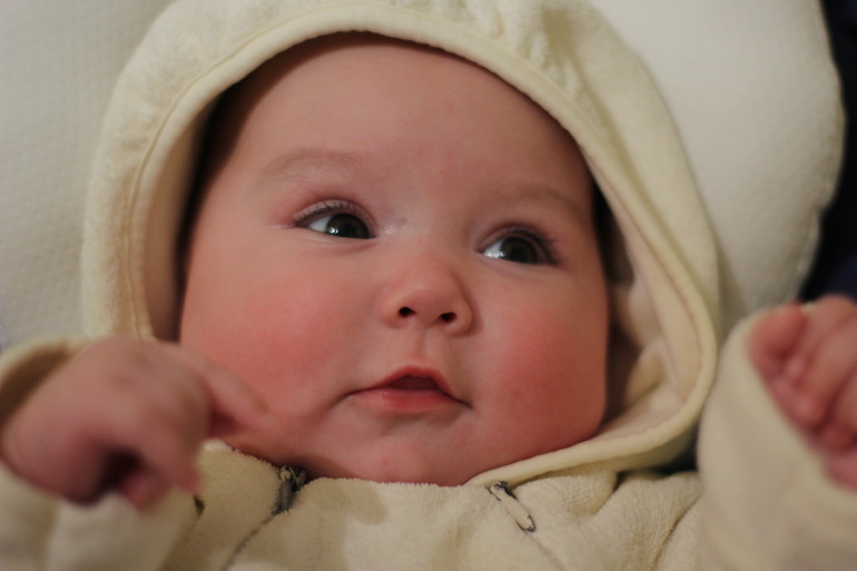 Рассказ про первый триместр Кукусиной жизни