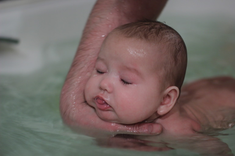 Рассказ про первый триместр Кукусиной жизни