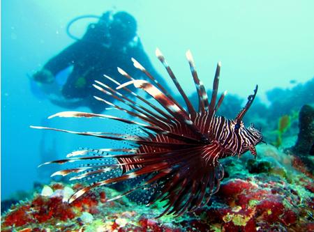 Мальдивы, Eriyadu Island Resort 4