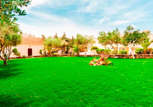 Греция, Крит, Dessole Blue Star 4*