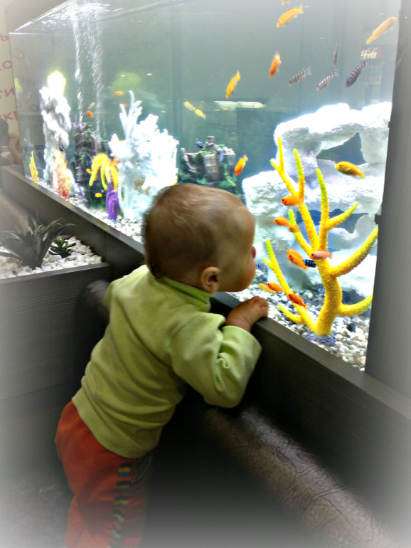 14 и 15 июня...