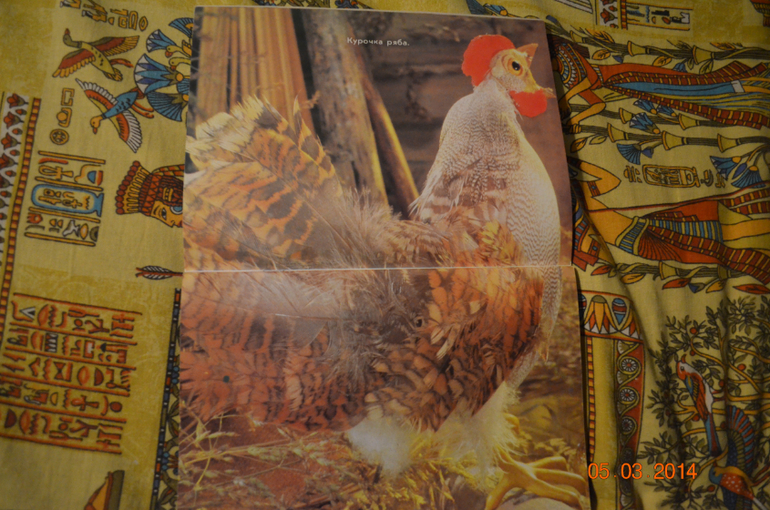 из закромов...