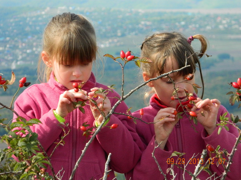 Наши прогулки*)