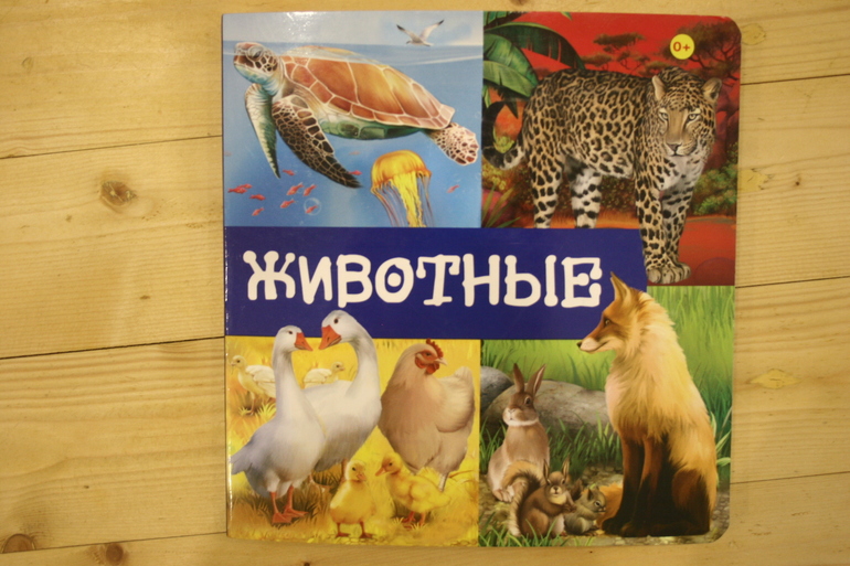 Наши книги в 1 год. Осторожно, Очень много фото!