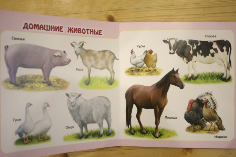 Наши книги в 1 год. Осторожно, Очень много фото!
