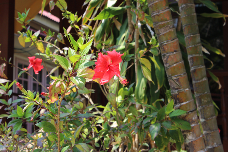 Картинки с отдыха