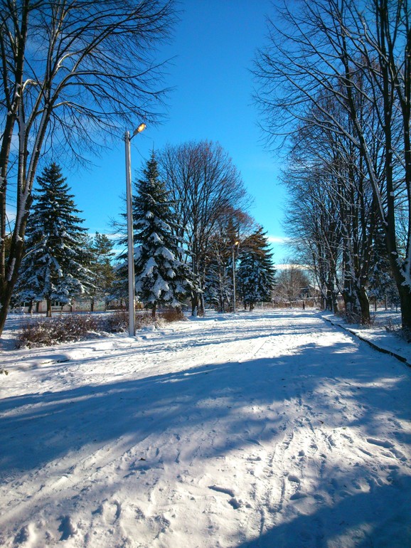 Зимняя прогулка