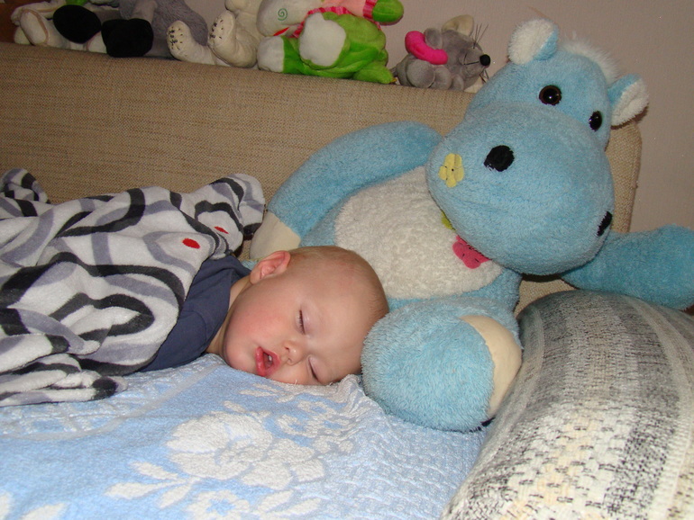 Как мы живем без тити