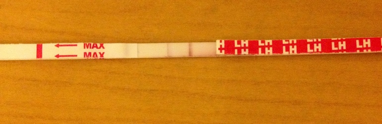 Тест на овуляцию