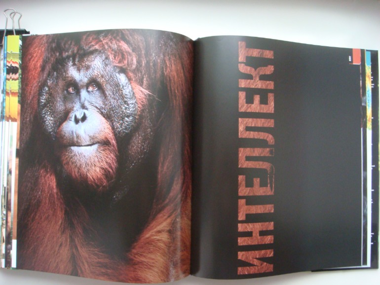 Животные. Большая иллюстрированная энциклопедия