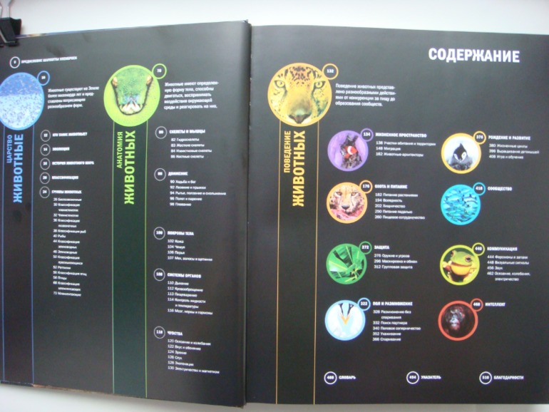 Животные. Большая иллюстрированная энциклопедия