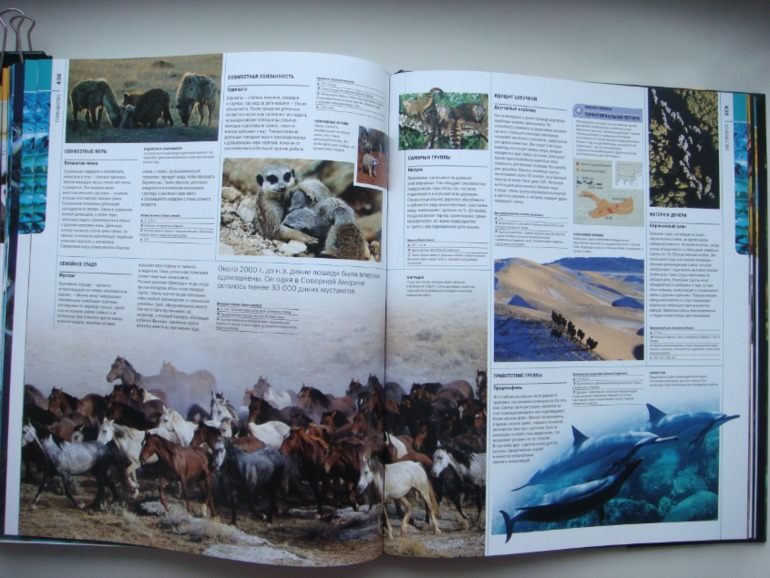 Животные. Большая иллюстрированная энциклопедия