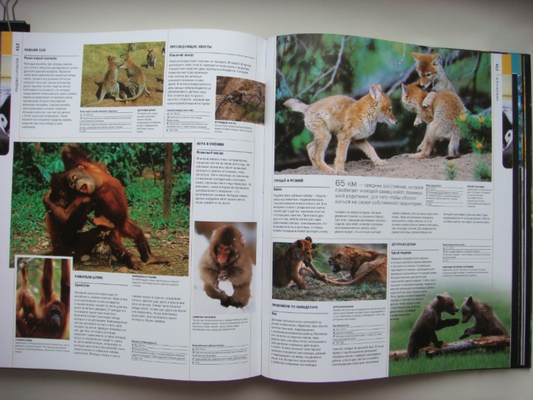 Животные. Большая иллюстрированная энциклопедия