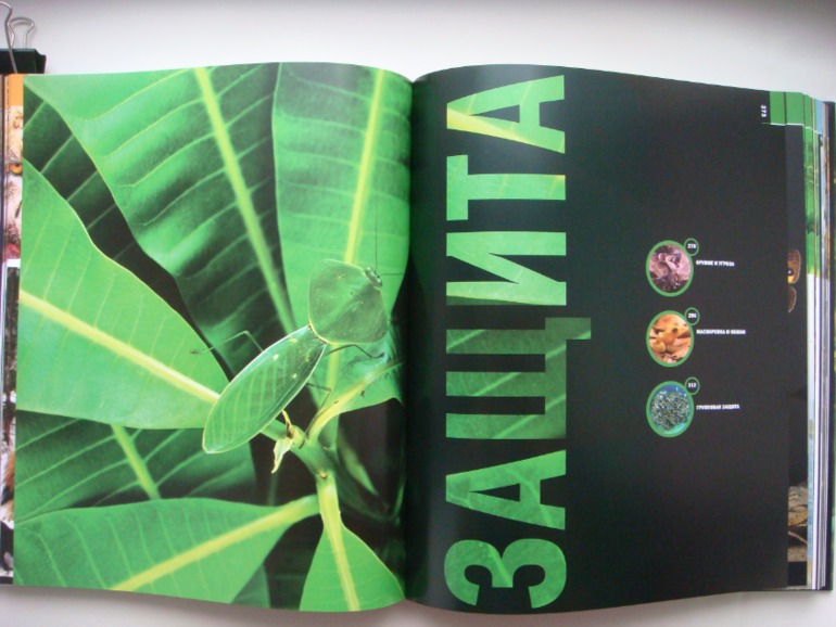 Животные. Большая иллюстрированная энциклопедия