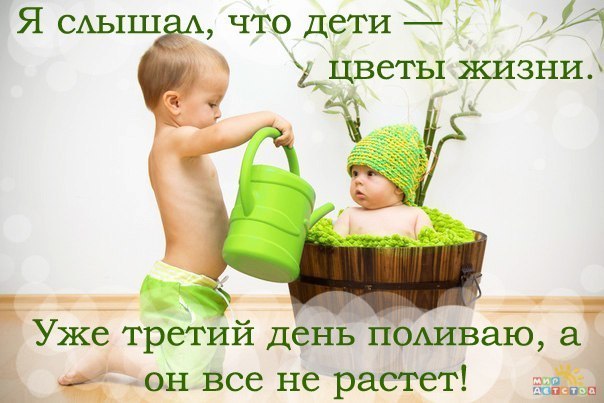 Цветочки
