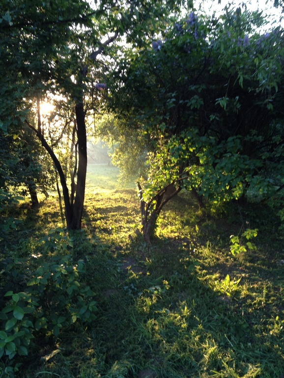 Утренний бег!
