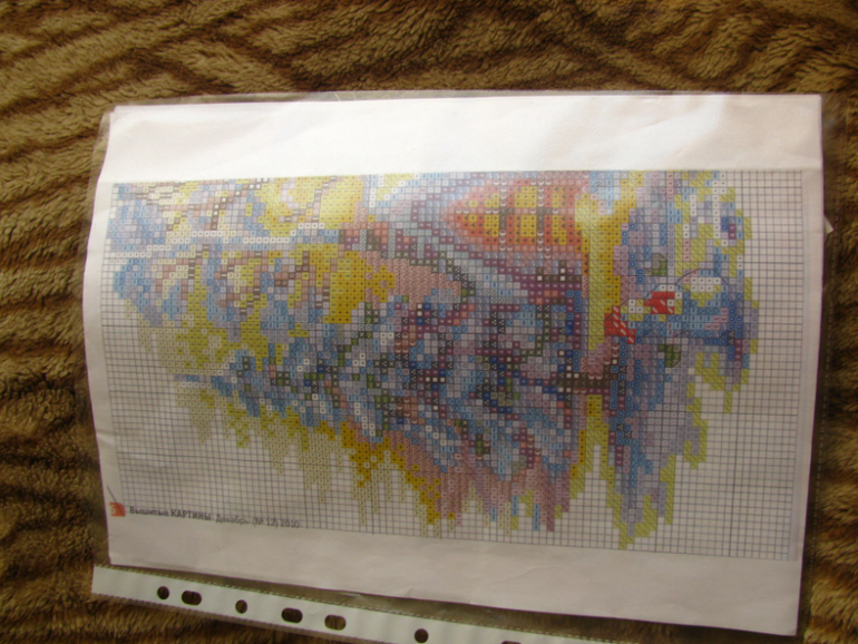 Мой хомячок приехал)))