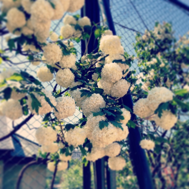 Московский зоопарк