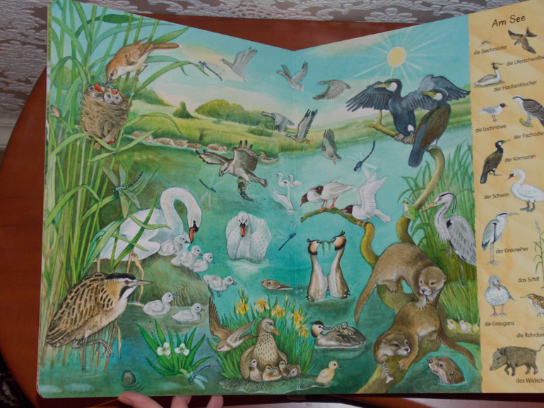 Развороты Mein erstes Wimmelbuch - Bach und Teich by Christine Henkel