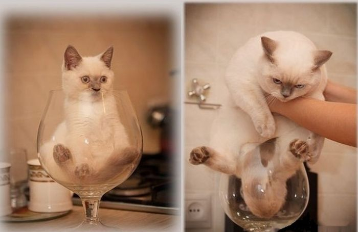 Для поднятия настроения =)))