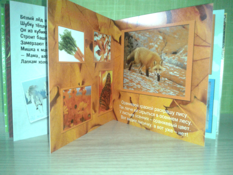 Развивающие фотоальбомы