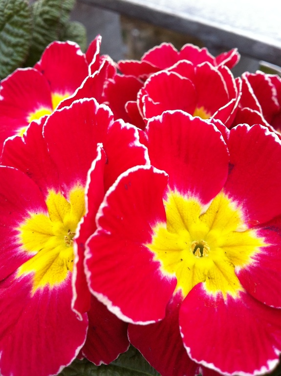 Мартовский флэшмоб. 12 марта