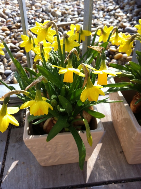 Мартовский флэшмоб ( он же профлэш)!