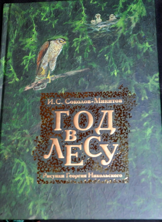 Очередное книжное (11)