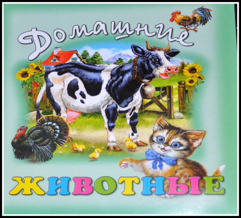 Книгообзор 5
