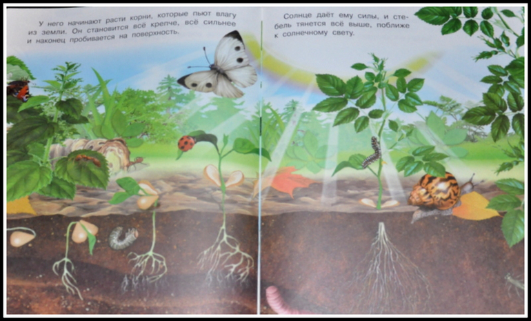 Книгообзор 5